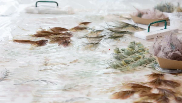 DIOR: UNA SPETTACOLARE MAESTRIA